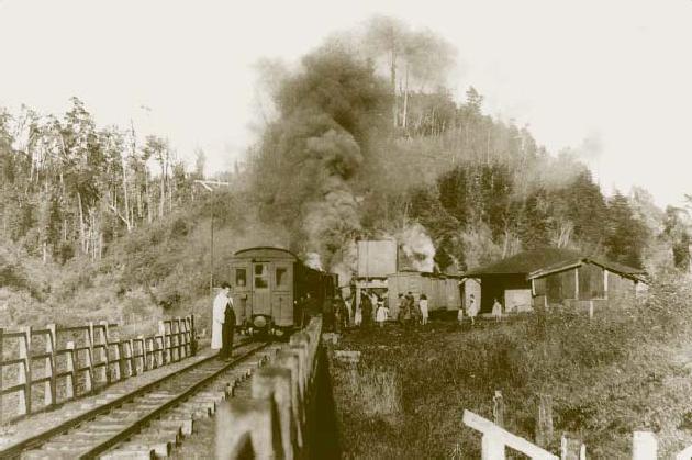 Tren de Chiloé